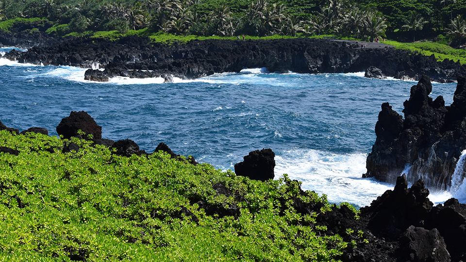 hana cultural center